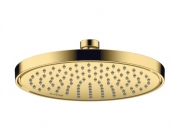 Axor ShowerSolutions - Kopfbrause 220 1jet EcoSmart gold-optik poliert