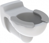 Geberit Kind - Tiefspül-WC wandhängend weiß mit KeraTect mit 2-teiliger Sitzfläche grau